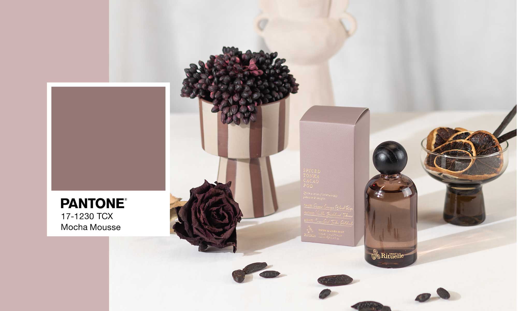 Mocha Mousse: Pantone’s Colour of the Year Meets Spiced Tonka & Cacao Pod