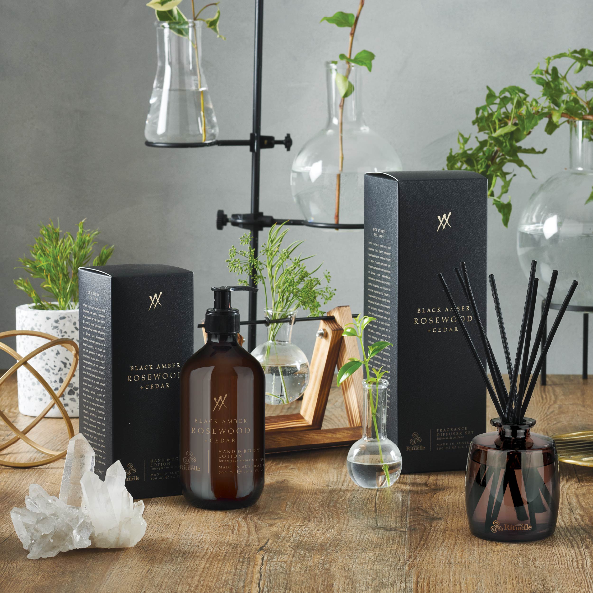 Black Amber, Rosewood & Cedar<br> Cleanse & Nourish Gift Duet | 2 x 500ml
