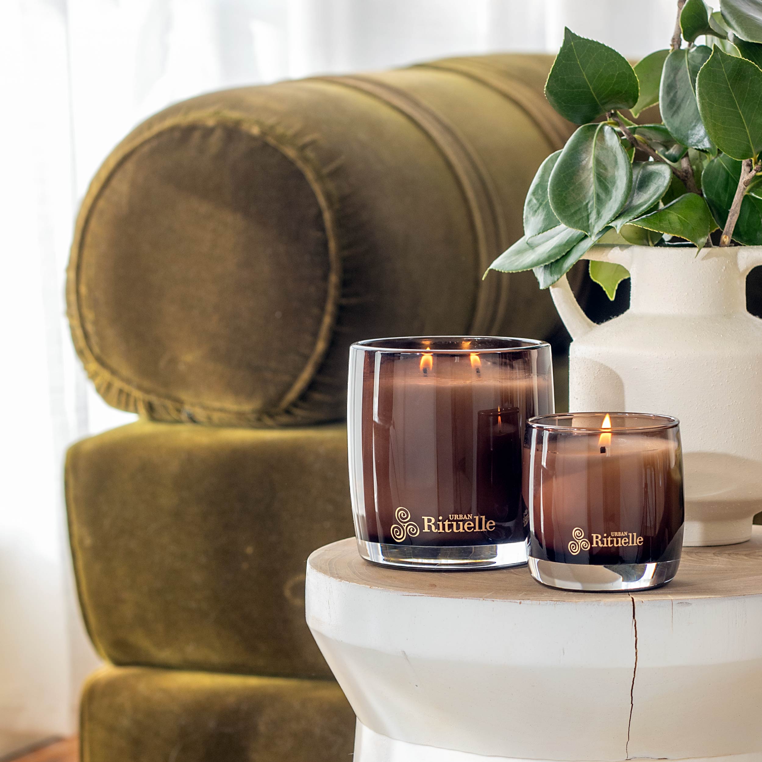 Fig Leaf, Cypress, Cedarwood, Moss<br>Scented Soy Candle | 140gm