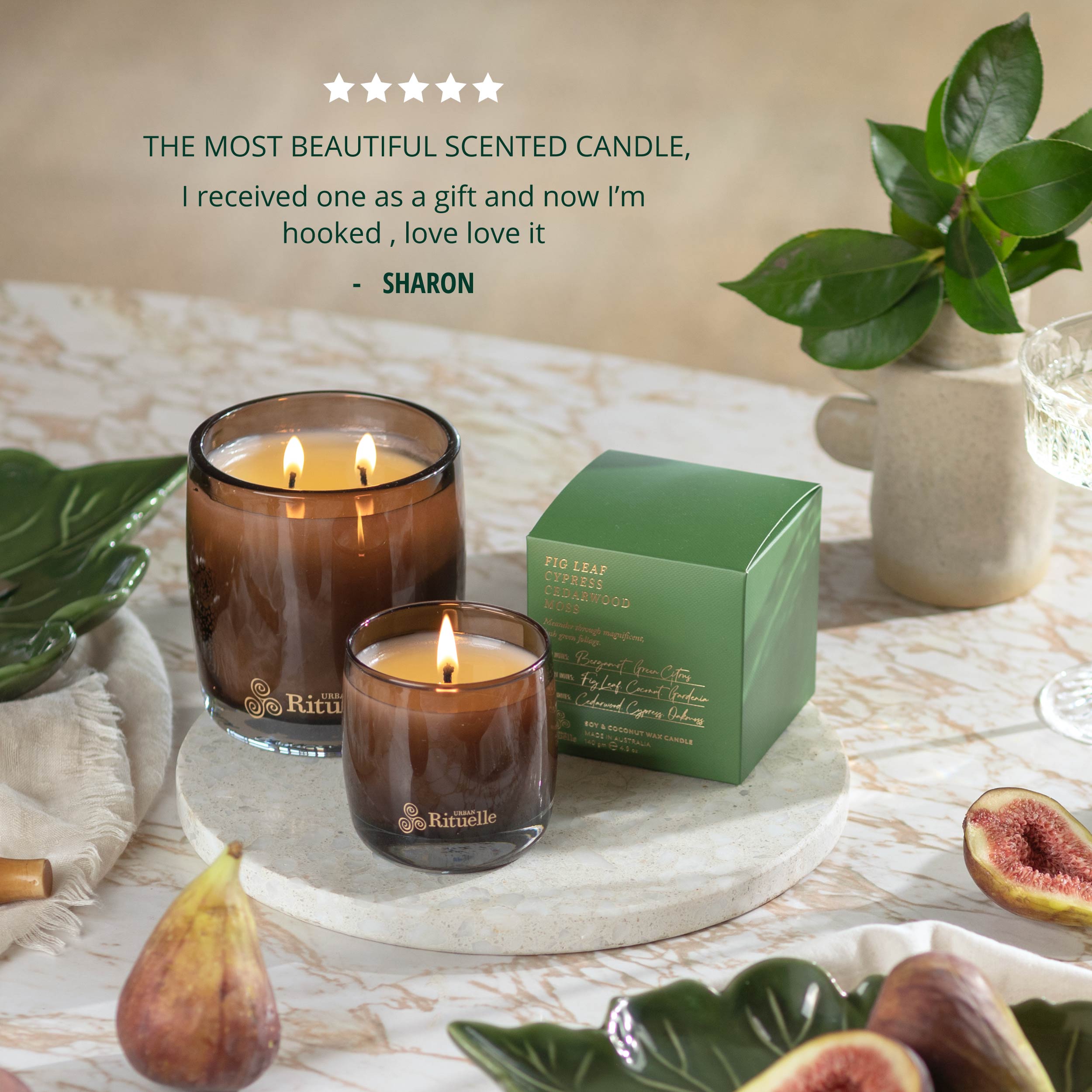 Apotheca Single Fragrance Package - Fig Leaf, Cypress, Cedarwood, Moss