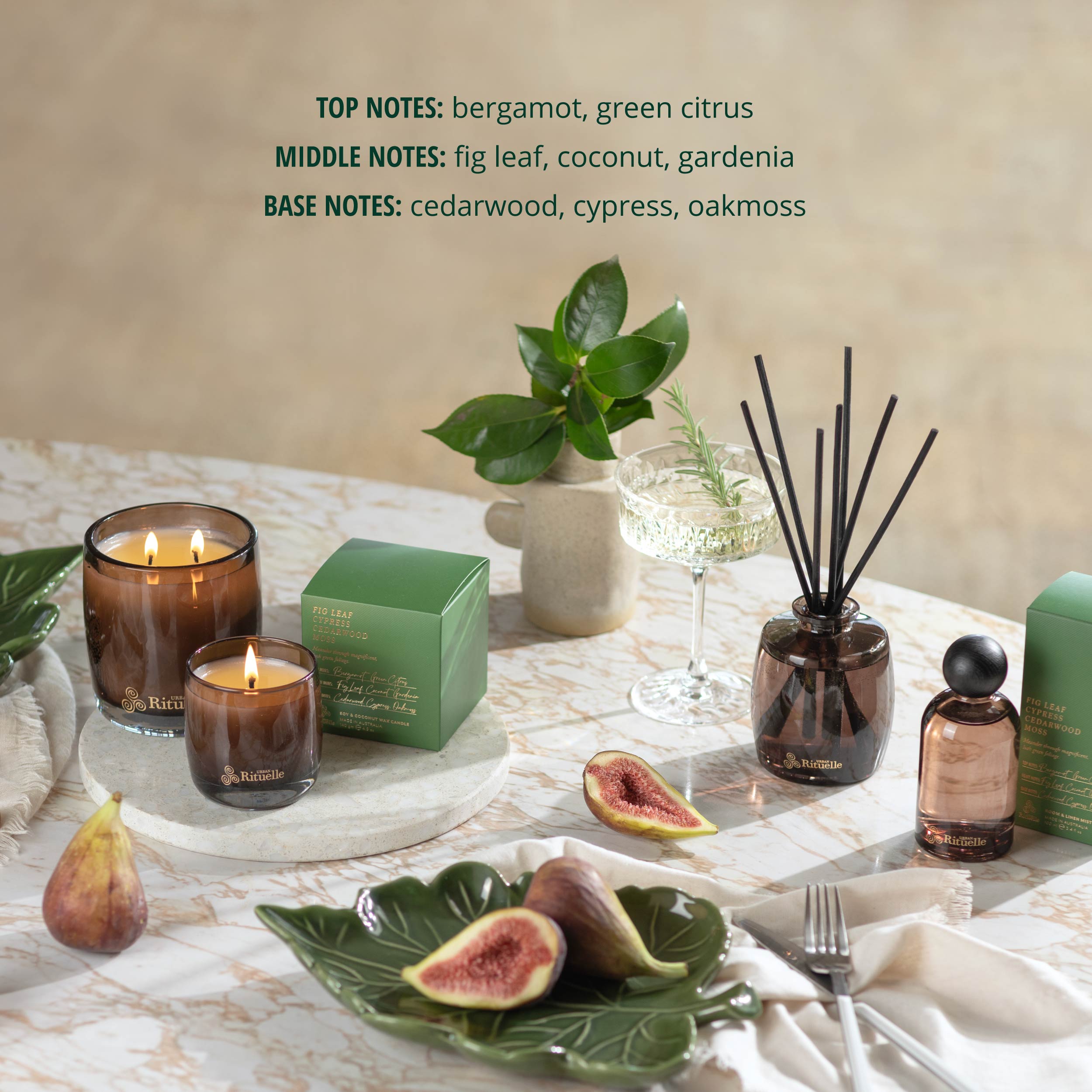 Apotheca Single Fragrance Package - Fig Leaf, Cypress, Cedarwood, Moss