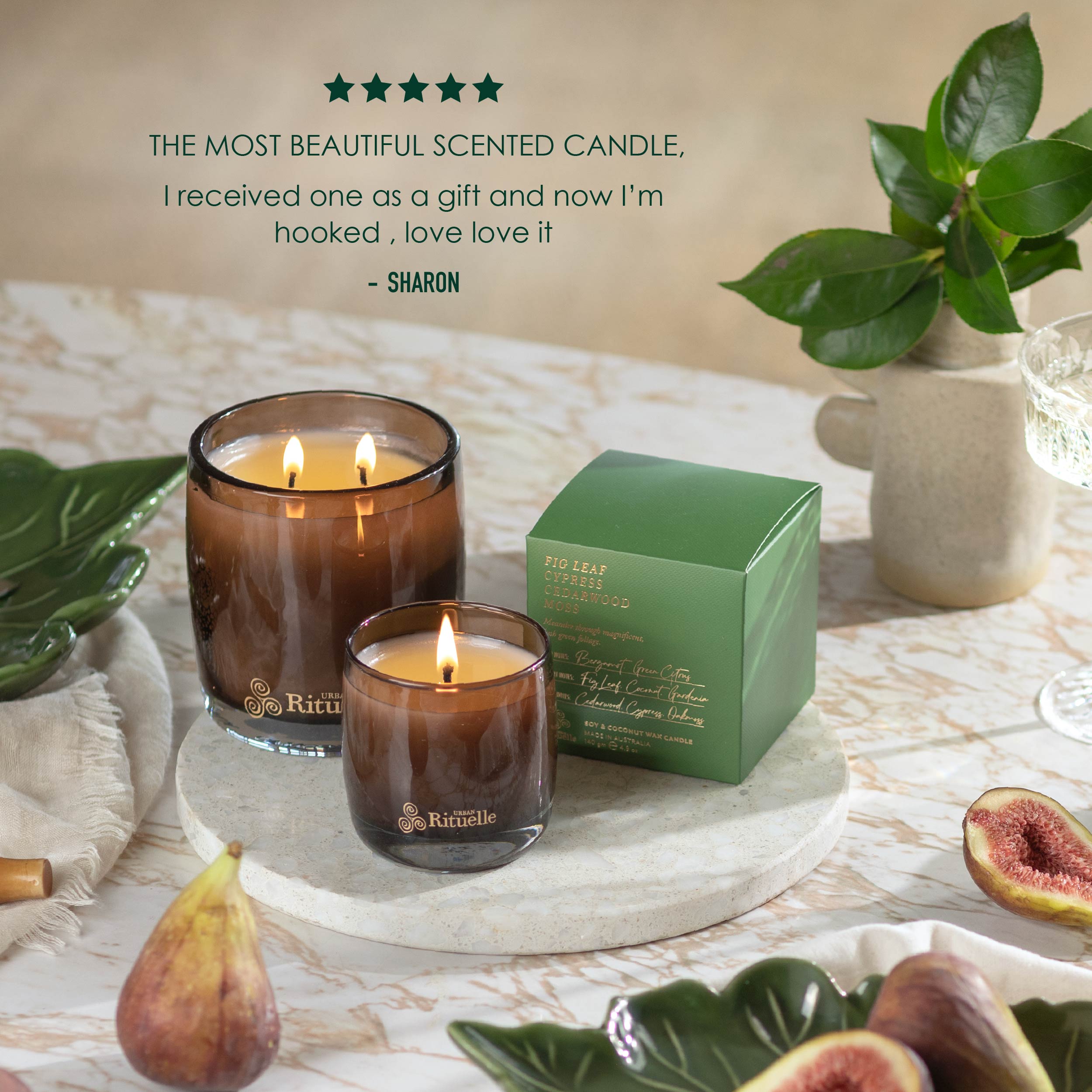 Apotheca Single Fragrance Package - Fig Leaf, Cypress, Cedarwood, Moss