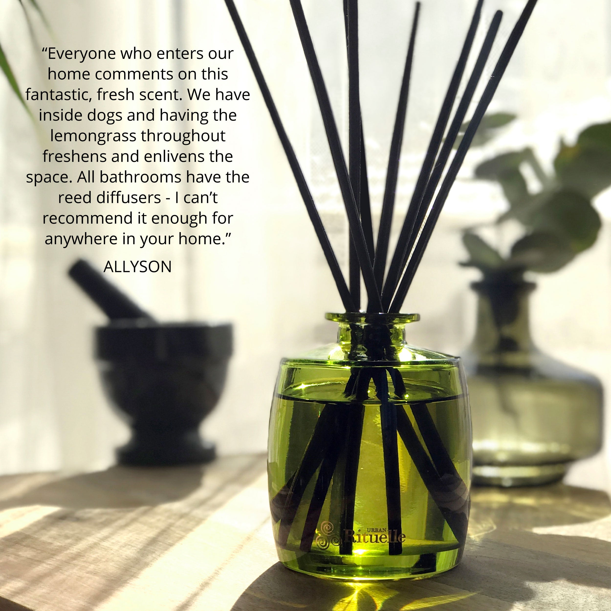 Lemongrass, Lemon Myrtle, Grapefruit & Eucalyptus<br> Mini Fragrance Diffuser Set | 90ml