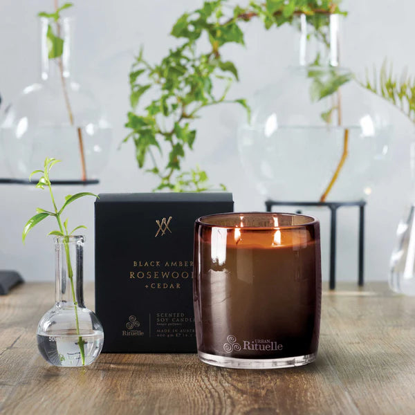 Black Amber, Rosewood & Cedar<br> Scented Soy Candle | 400gm