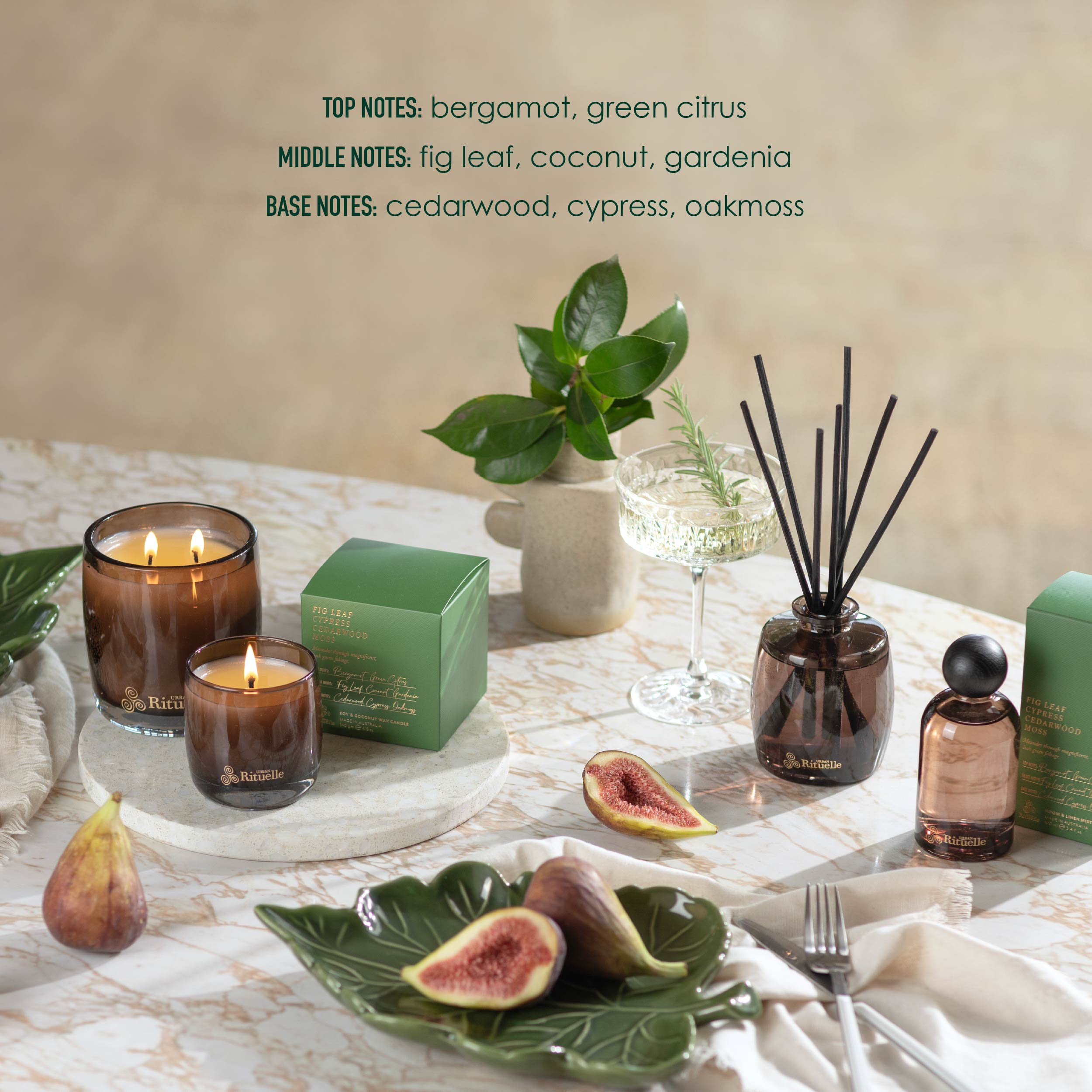 Apotheca Single Fragrance Package - Fig Leaf, Cypress, Cedarwood, Moss