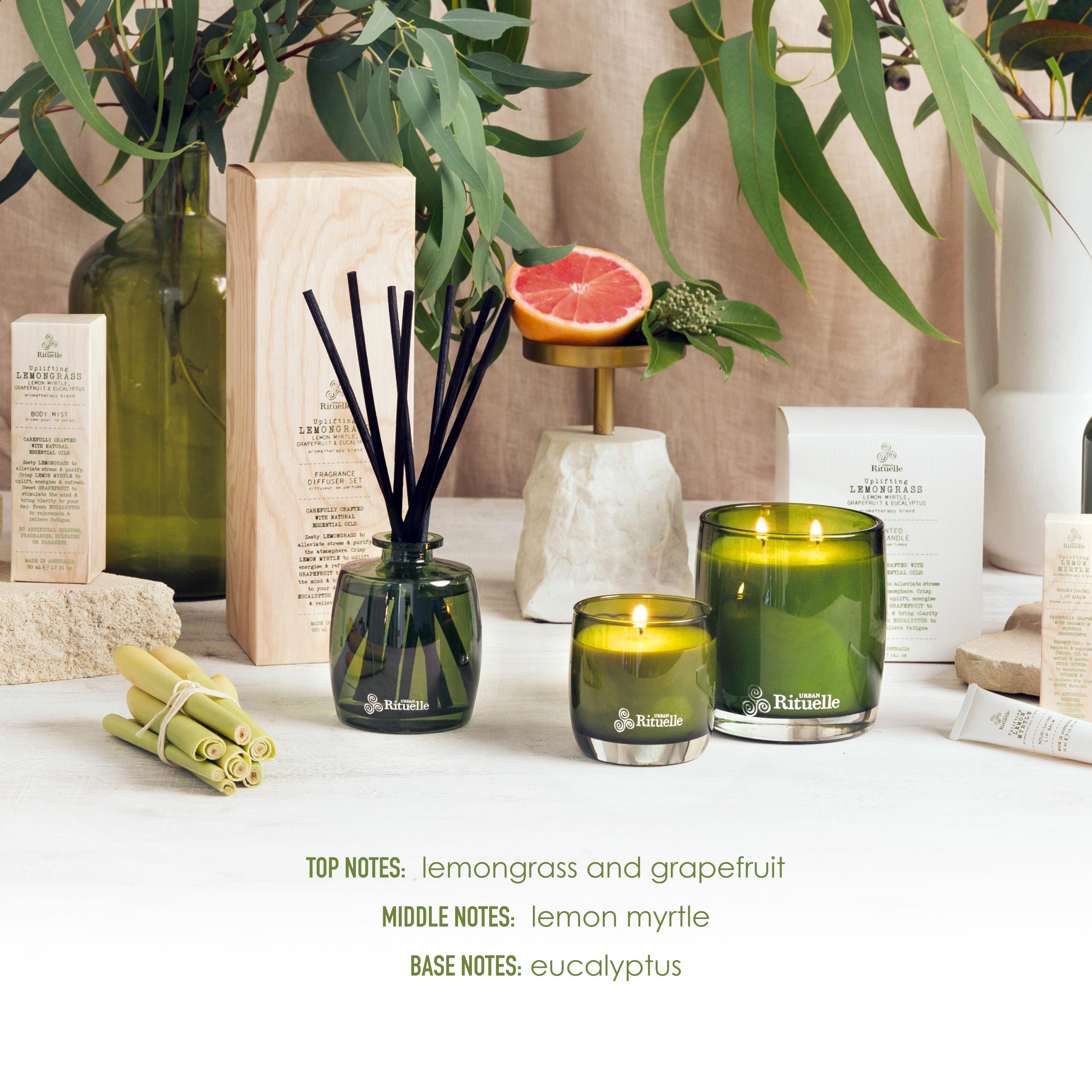 Lemongrass, Lemon Myrtle, Grapefruit & Eucalyptus <br> Botanical Perfume | 10ml