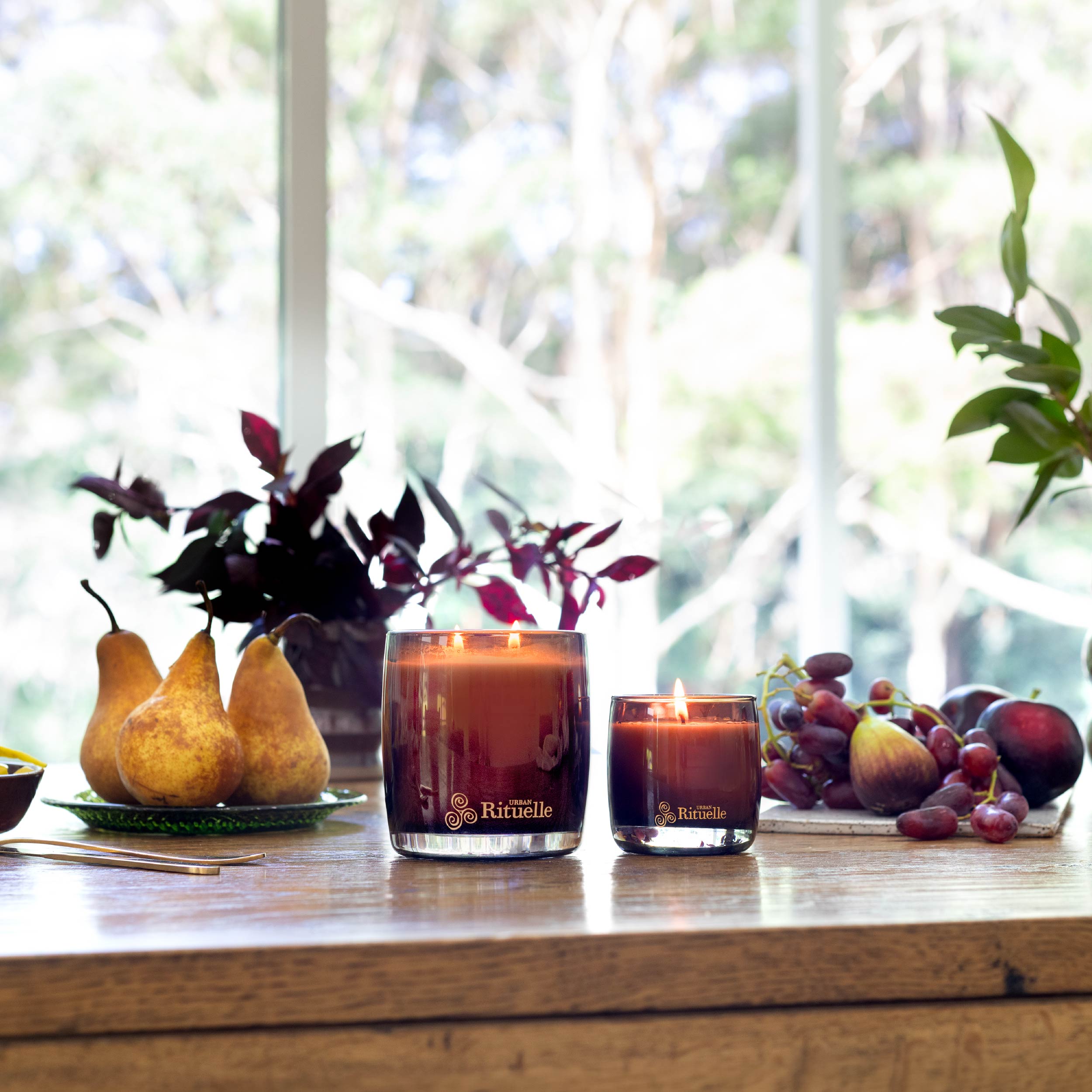 Nectarine, Honey Blossom, Bergamot, Vetiver<br> Scented Soy Candle | 140gm