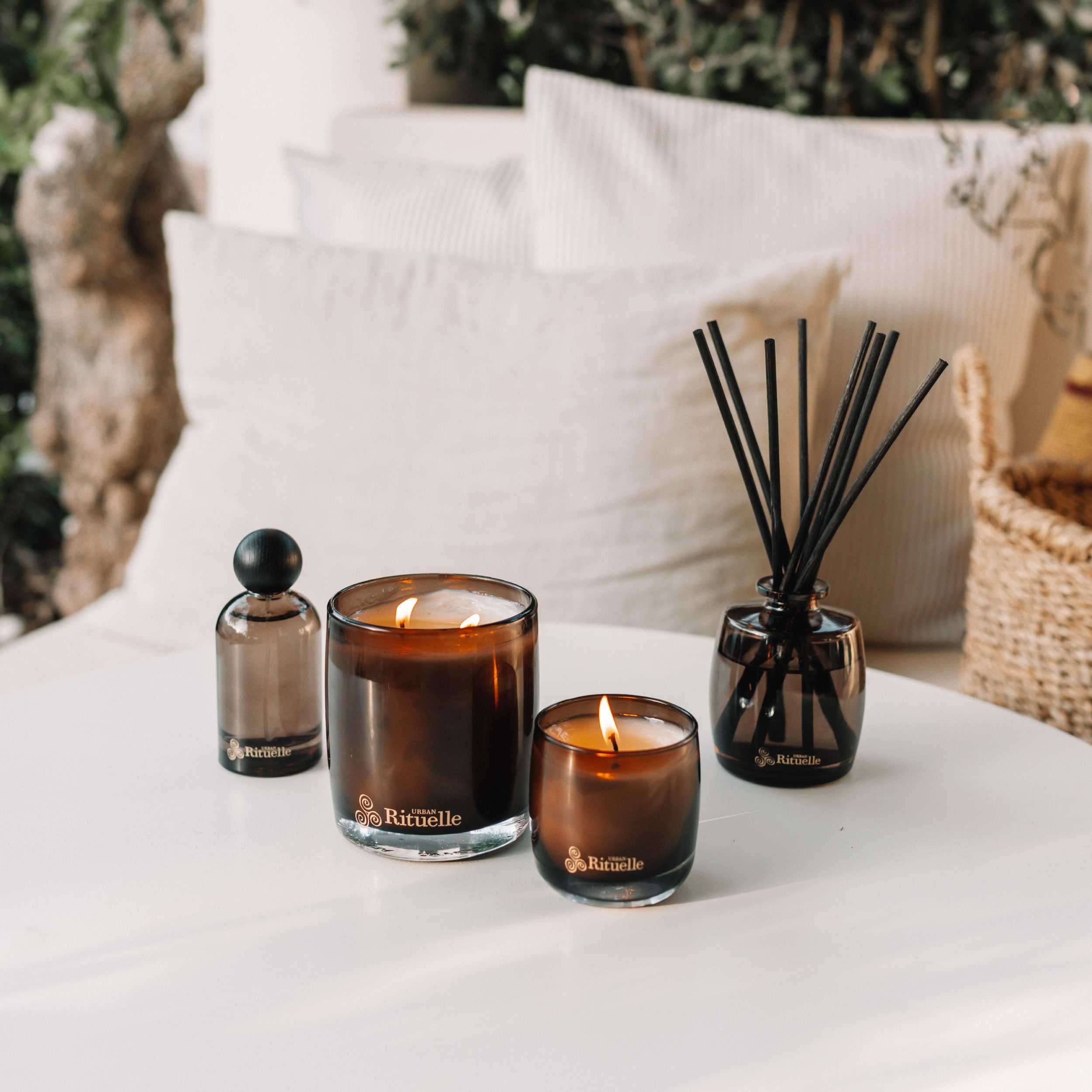 Black Amber, Rosewood & Cedar<br> Scented Soy Candle | 140gm